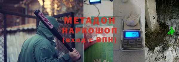 прущие грибы Наволоки