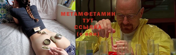 прущие грибы Наволоки