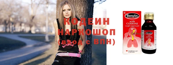 прущие грибы Наволоки