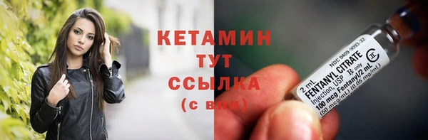 прущие грибы Наволоки