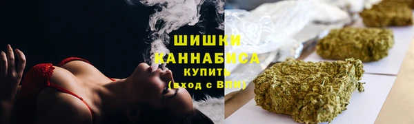 прущие грибы Наволоки