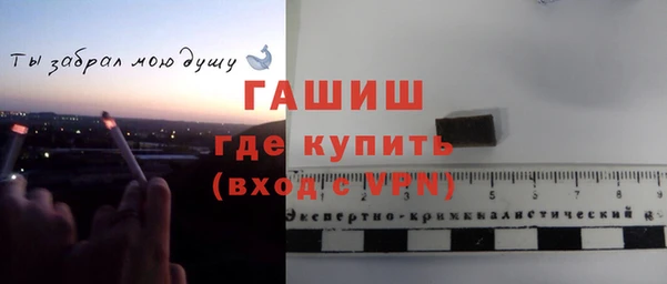 прущие грибы Наволоки
