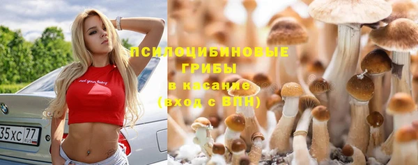 эйфоретик Надым