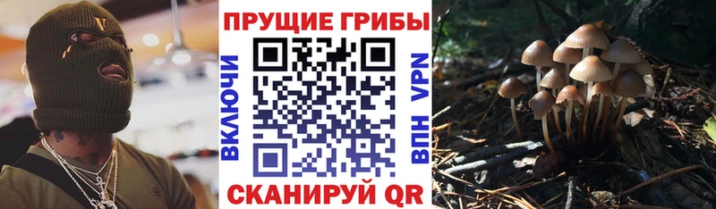 Псилоцибиновые грибы GOLDEN TEACHER  Серов 