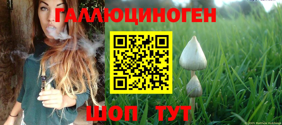 Серов  Галлюциногенные грибы Psilocybine cubensis  закладки  Вход с VPN 